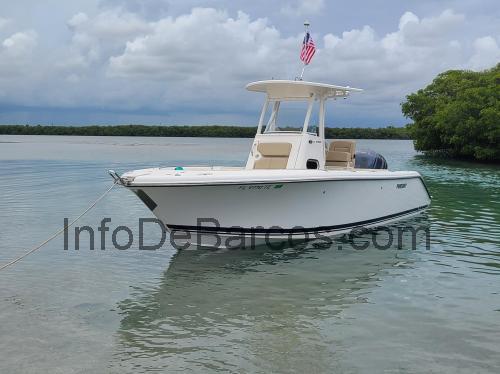 Pursuit C 238 ficha técnica y opiniones